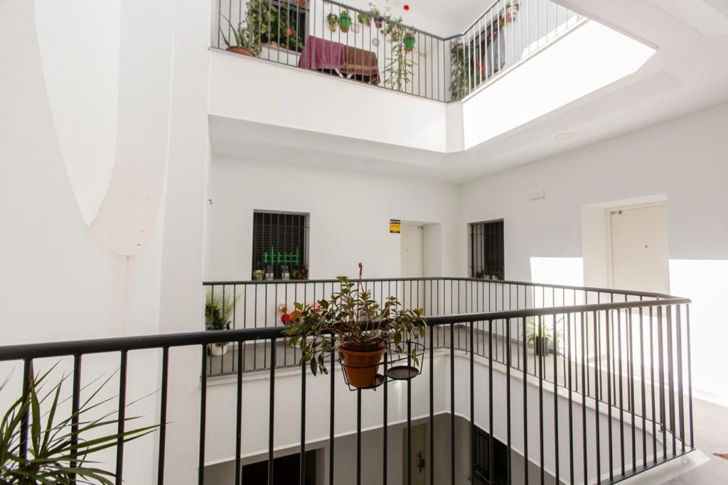Pitusa Home Cádiz Exteriör bild